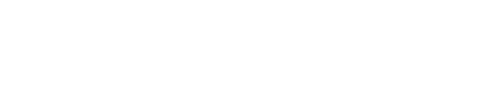Tamstan WEB logo – white – (966×219 px) V01